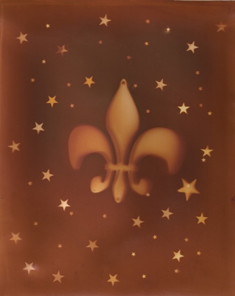 Fleur de Lumen by Natasha Sanchez | A sparkly Lumen Print featuring our New Orleans symbol, the fleur de lis and created using metallic Fleur de Lumen
